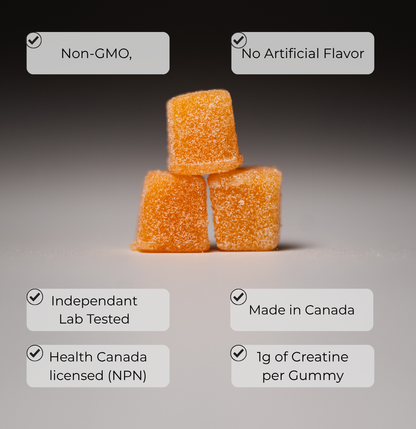 FLEX Creatine Monohydrate Gummies